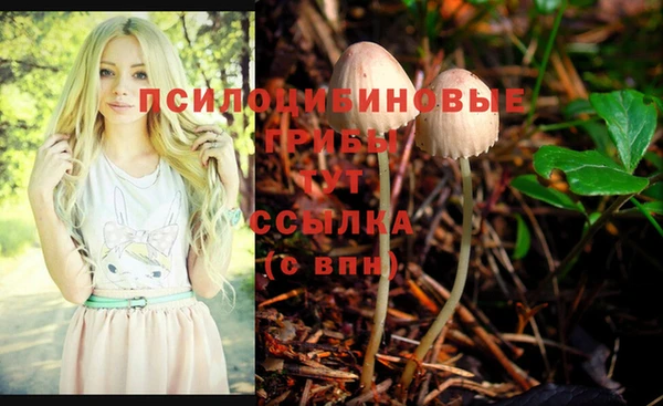 дурь Арсеньев