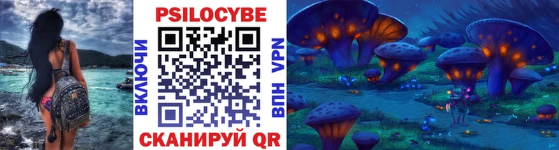 где купить   Асино  Галлюциногенные грибы Psilocybine cubensis 